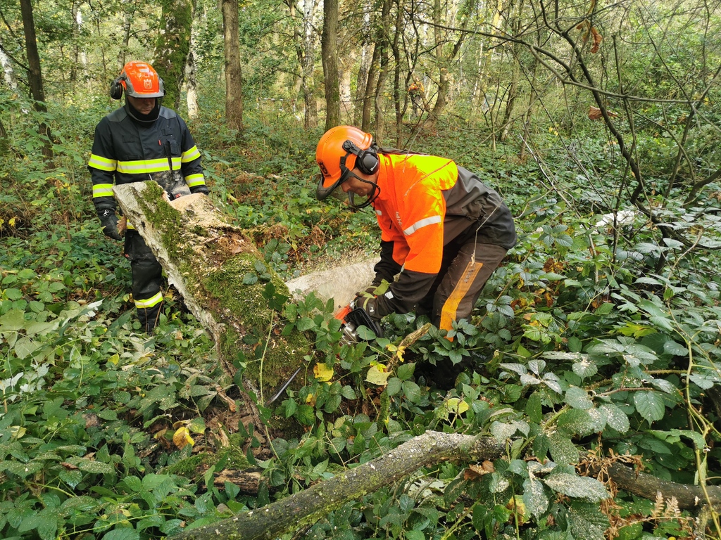 Hasiči mohou provádět práci s pilou ve speciálních oblecích, ale i v běžném zásahovém obleku