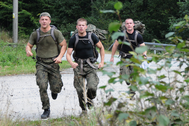  Summer Survival 2014