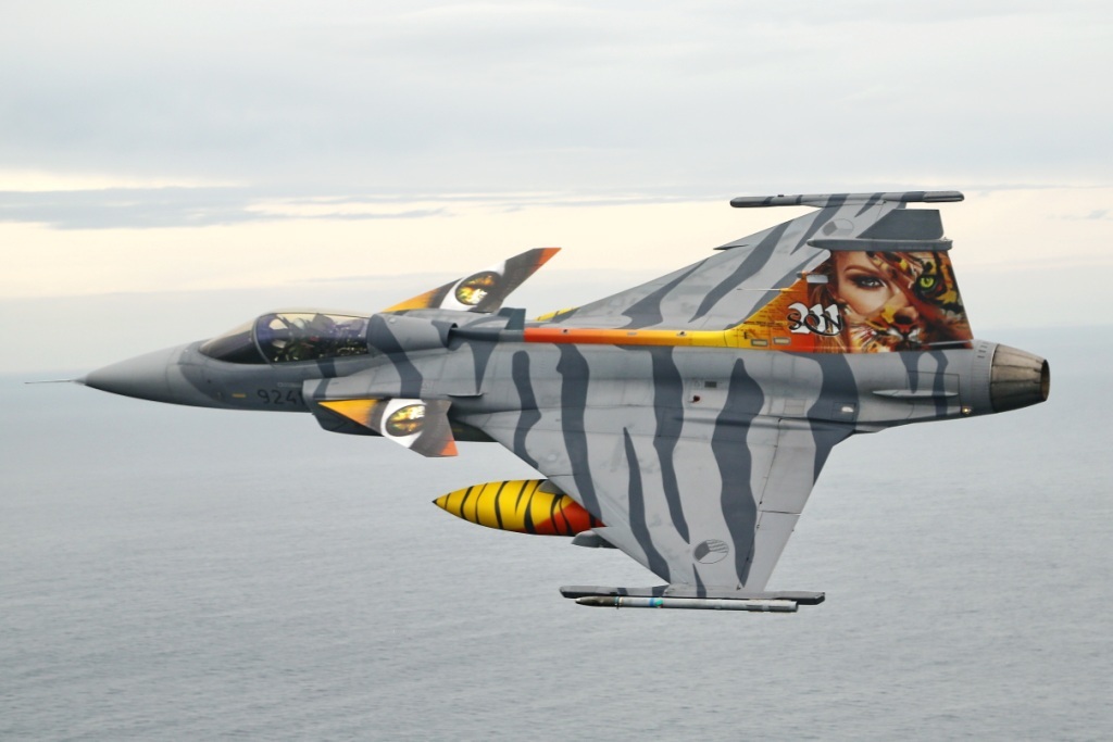 Kamufláž českého letounu JAS-39 Gripen pro loňské cvičení; motiv nesl příznačný název „Wildcat“, kde částečně překrytá tvář topmodelky Simony Kraninové byla stylizovaná do podoby tygřice