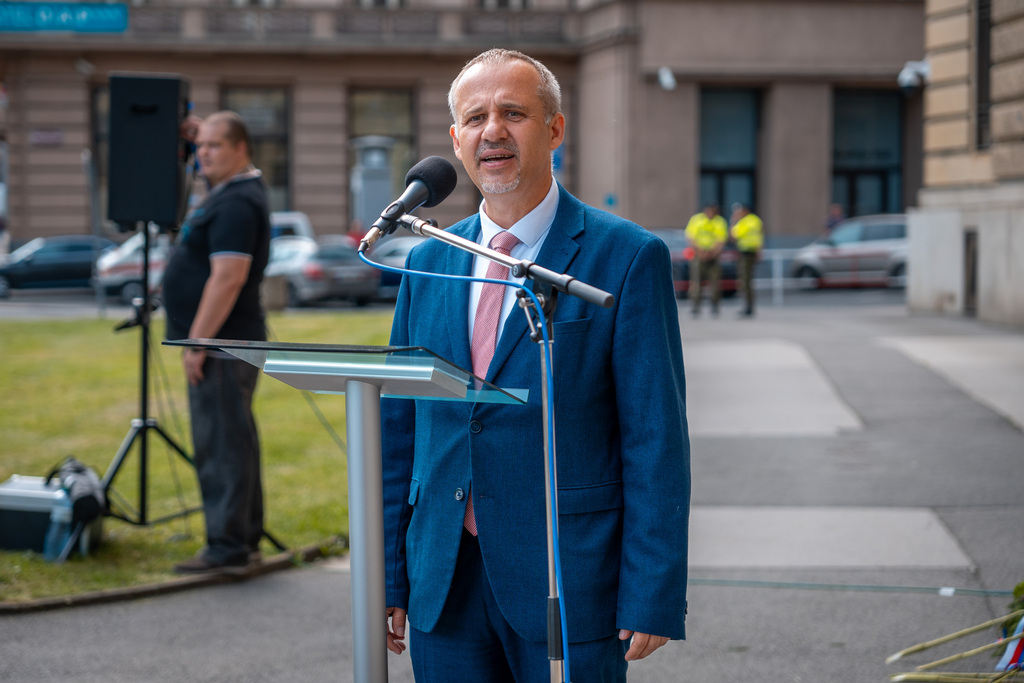 1. náměstek ministryně obrany František Šulc během projevu 