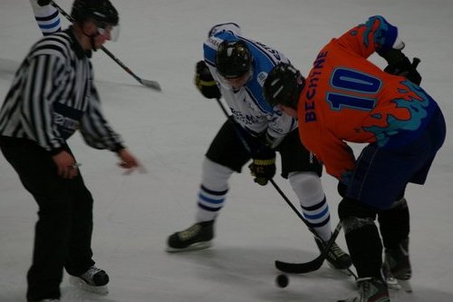 Hokejový turnaj složek integrovaného záchranného systému