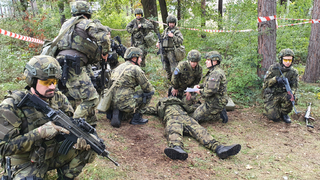 Operace na ochranu územní celistvosti a suverenity státu. To bylo cvičení Čisté nebe