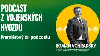 Ilustrační obrázek ke článkuStali jsme se tuzemským lídrem v přírodě blízkém lesnictví, říká v novém podcastovém kanálu VLS ředitel Roman Vohradský