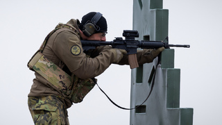 Ilustrační obrázek ke článkuNejlepšími válečníky v USA Češi: Vynikli ve střelbě ze zbraní, které doma nepoužívají