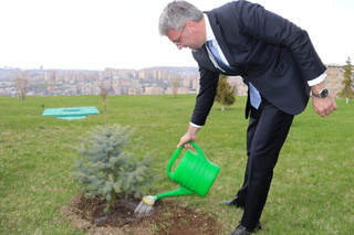 Tree planting ceremony