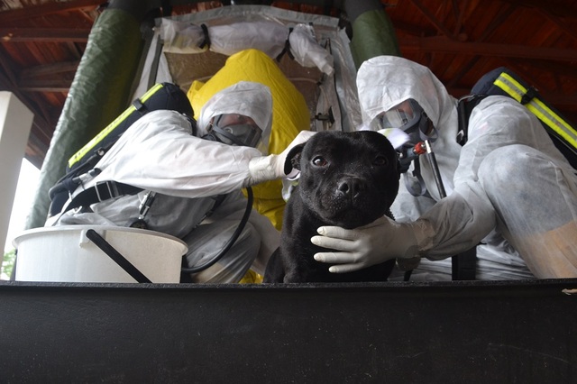 Dekontaminace zvířat je nezbytná také v případě výskytu nebezpečné nákazy