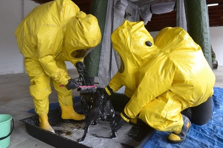 SLAK pod kontrolou vojenských veterinářů