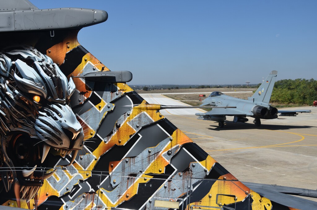 Kromě českých gripenů se setkání členů tzv. tygří asociace zúčastnily dvě desítky elitních letek členských i partnerských států NATO