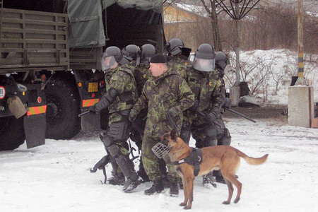 A squad in a defence position supported with dog