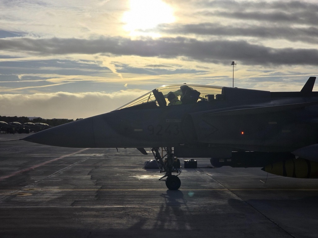 Cvičení se účastnili příslušníci čáslavské základny a letouny JAS - Gripen