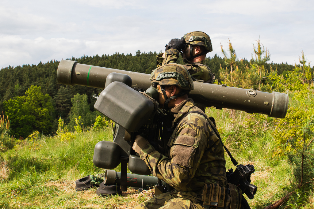 Hlavní zbraní jednotky jsou protiletadlové raketové komplety RBS-70.