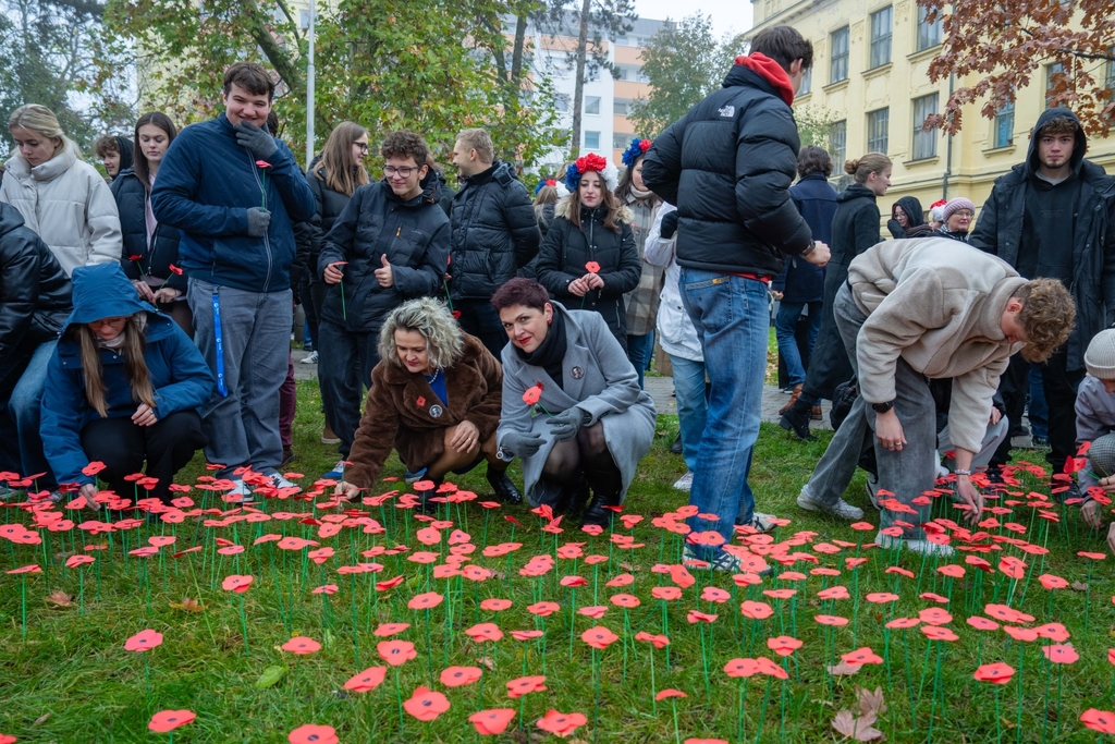 Během vzpomínkové akce vysázeli studenti před kladenským gymnáziem 2024 vlčích máků.