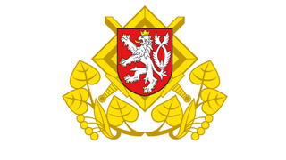 Vojenský fond solidarity vloni pomohl 25 dětem a devíti rodinám v nouzi