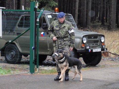 Armáda letos plánuje nakoupit nové služební psy vycvičené ke střežení objektů