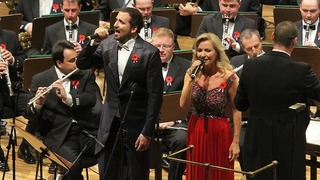 Ilustrační obrázek ke článkuKoncertem v pražském Rudolfinu si resort obrany připomenul válečné veterány