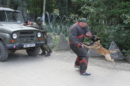 Zakousnutí do narušitele