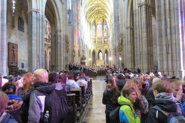 Katedrála plná stonožkových dětí a jejich přátel