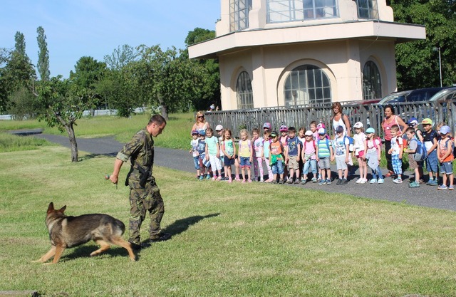 Ukázka práce psovodů