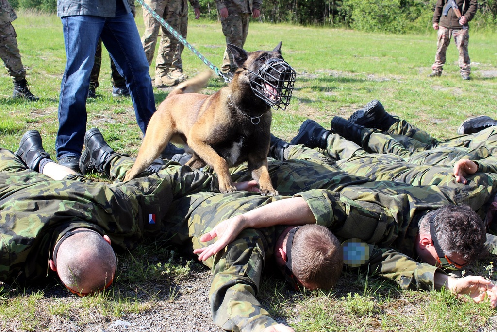  Studenti si vyzkoušeli náročné situace