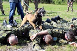  Studenti si vyzkoušeli náročné situace
