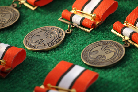 Sinai MFO Medal