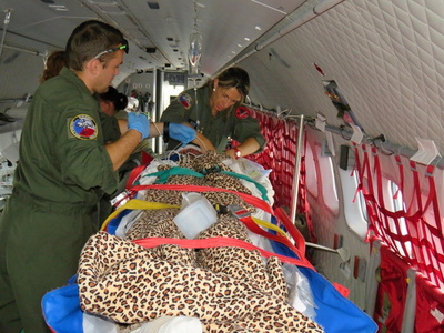 CASA aircraft transports wounded Ukrainians to the Czech Republic for medical treatment