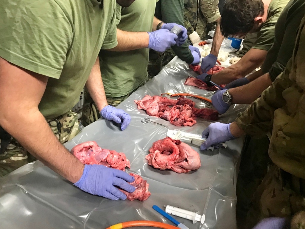 Nácvik správné intubace se provádí za užití zvířecích skeletů