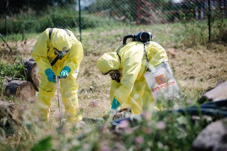 Vojenští veterináři pomohou s řešením výskytu Afrického moru prasat