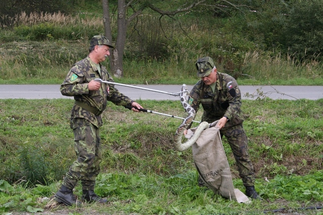 Odchyt jedovatého hada veterinární zásahovou skupinou