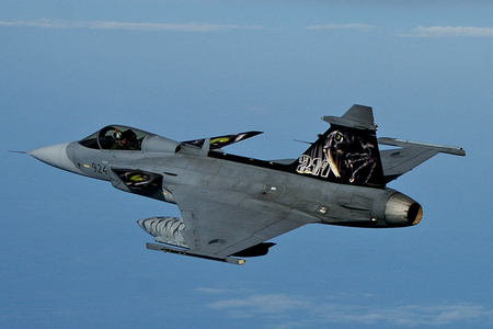 Tygři obhajují loňskou trofej. Držte jim palce