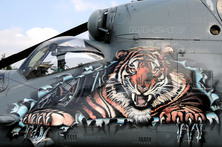 Členství v Tygří asociaci je něco jako vyznamenání