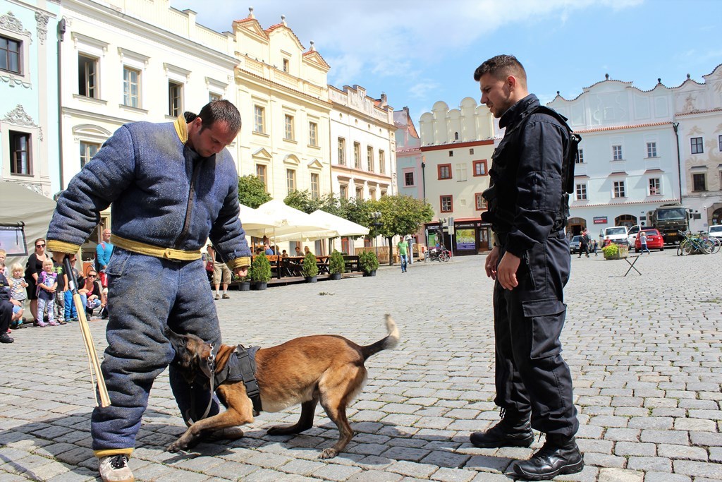 Ukázka výcviku služebních psů Vězeňské služby ČR