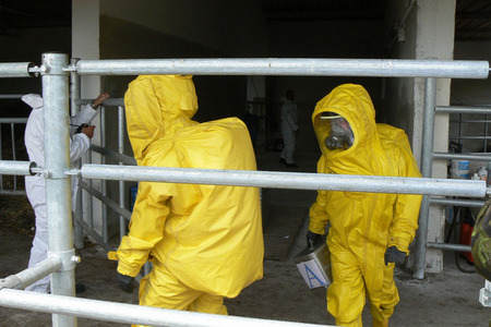 Příprava na odběr vzorků na antrax