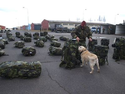 4. brigáda cvičí Alert Excercise v rámci sil okamžité reakce NATO