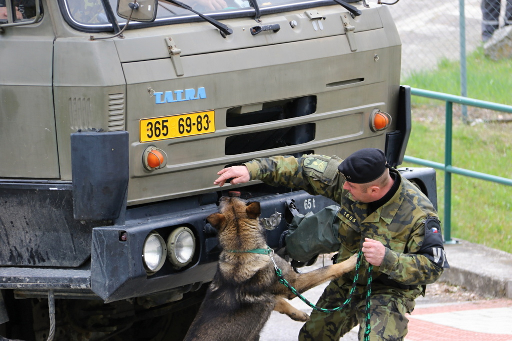 A military dog handler checking a truck entering the power plant