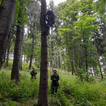 Slaňování ze stromu 