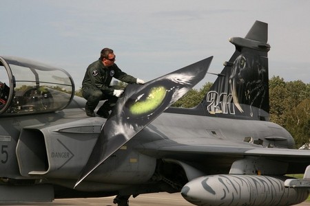 Tygří znaky na letounu JAS-39 Gripen
