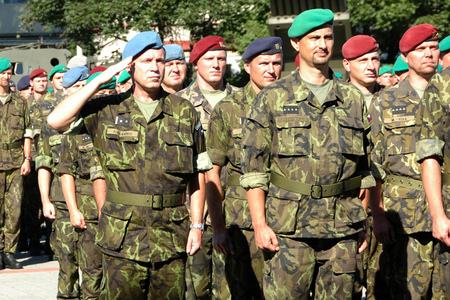 Vojáci Bílou knihu podporují, strachují se ale o její budoucnost