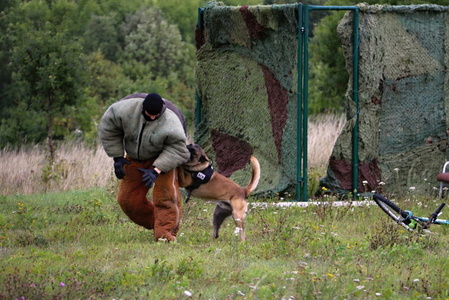 Vycvičený pes pachatele nekompromisně zadrží