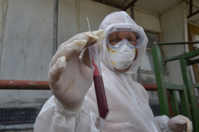 Vzorky připravené k laboratornímu vyšetření