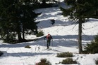 Závody ve skialpinismu 