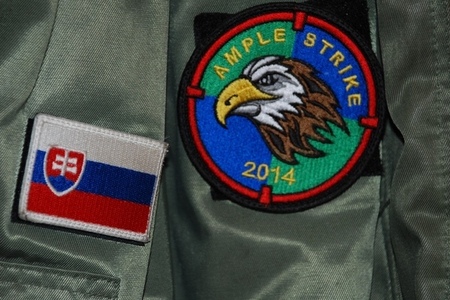 Přečtěte si, jak vznikl název a znak cvičení Ample Strike 2014