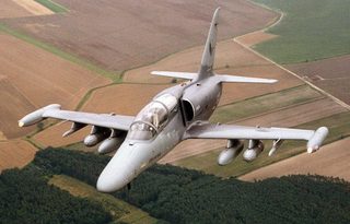 Bojový letoun L-159 ALCA
