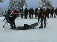 Winter Survival 2010 - 9