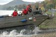 Amphibian in action